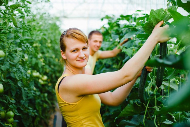 Zie jij kansen in de tuinbouw?